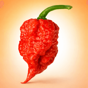 Carolina Reaper