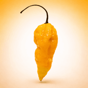 Fatalii