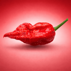 Ghost Pepper (Bhut Jolokia)
