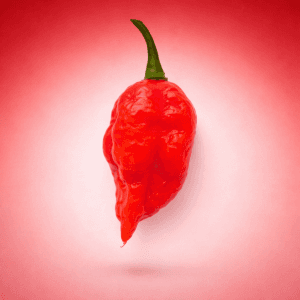 Infinity Chili
