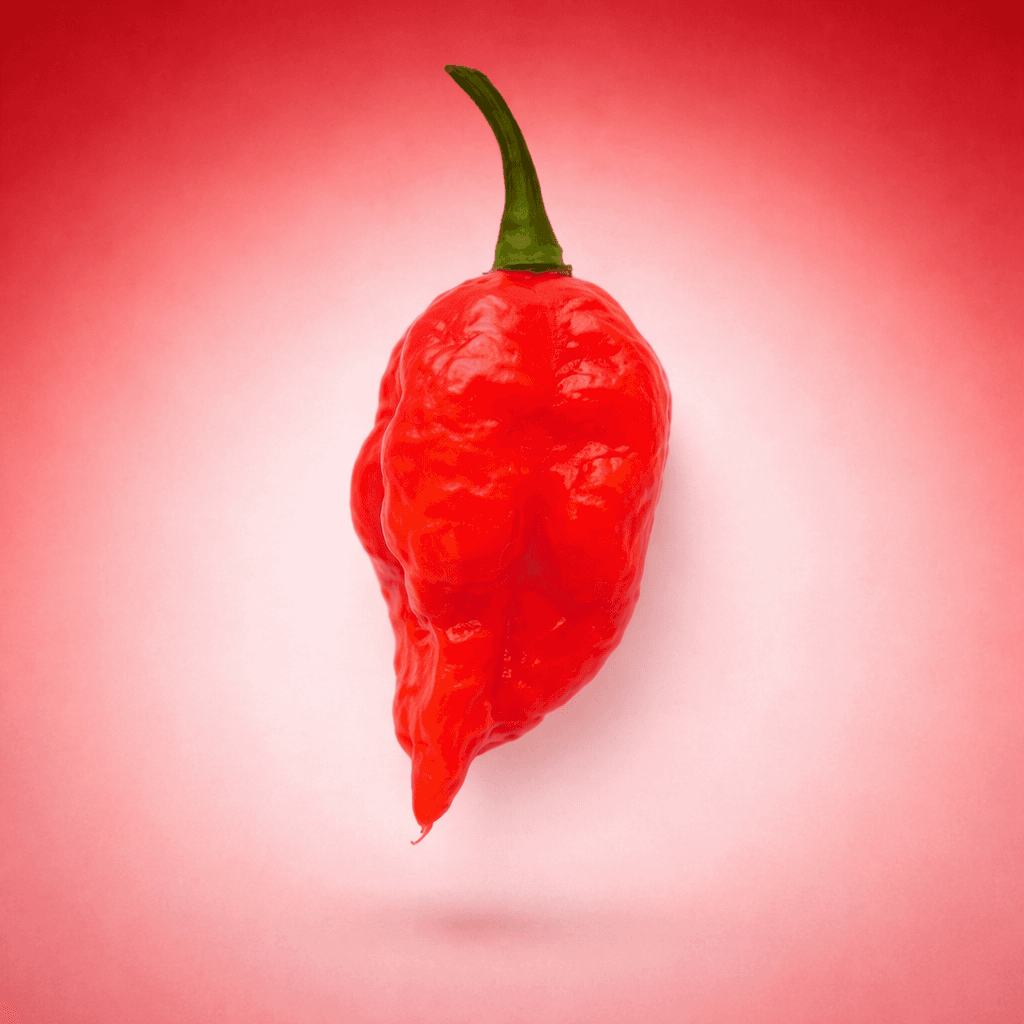 Infinity Chili
