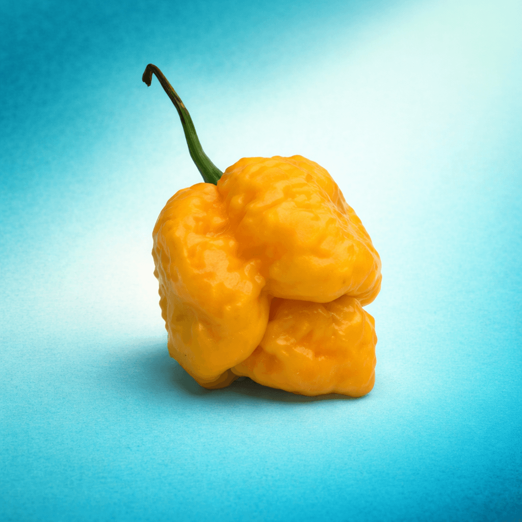 Trinidad Moruga Scorpion